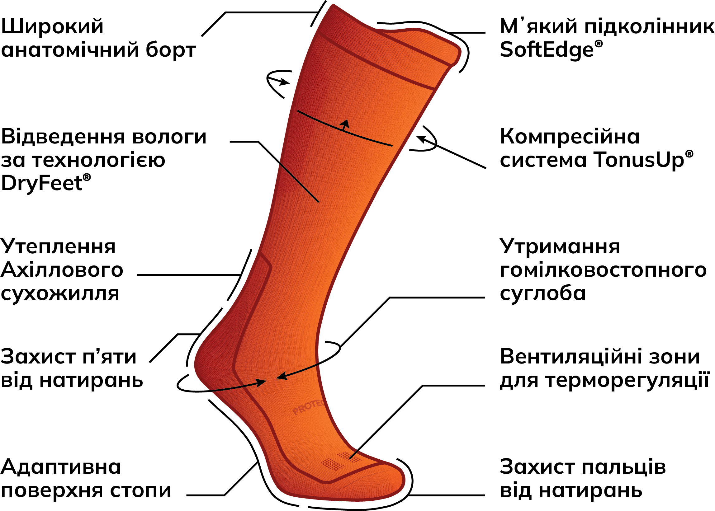 LongDry+ PRO compression knee socks – protection zones illustration