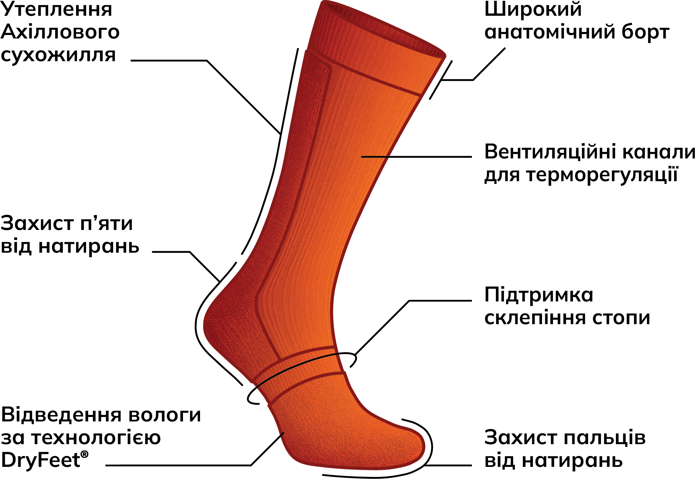LongWinter thermal socks – protection zones illustration