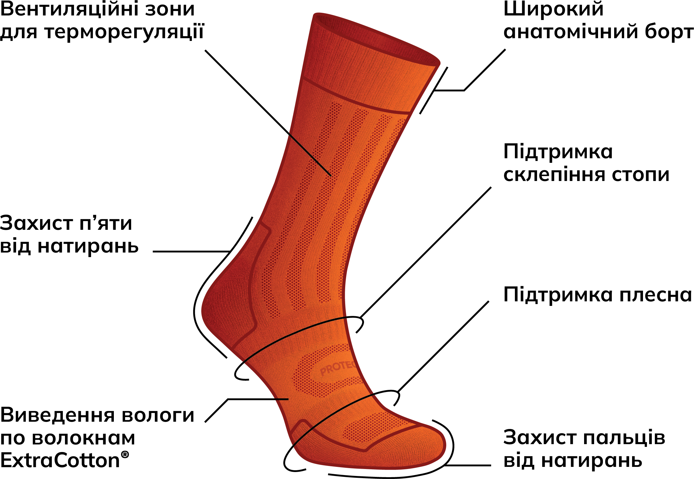 MidLight trekking socks – protection zones illustration